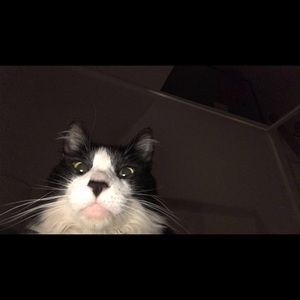 Meet your Posher, Camryn